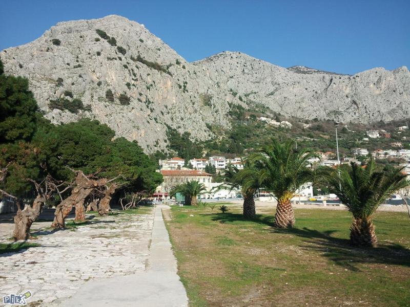 Jadra Omiš